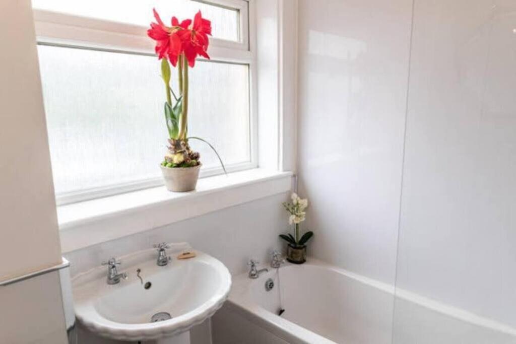 Appartamento Cosy 1 Bed With Parking In City Centre Glasgow Esterno foto